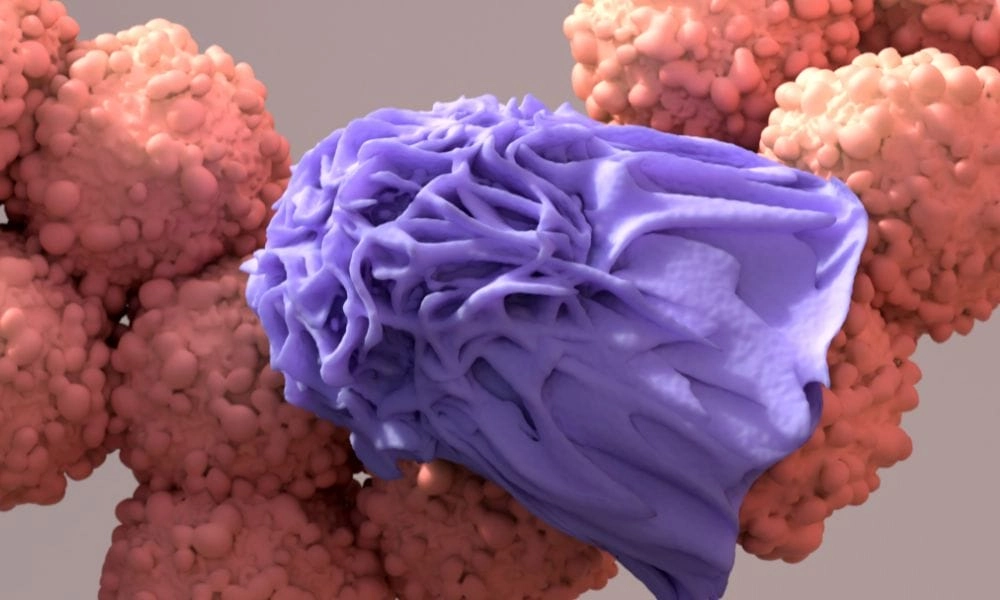 How long does immunotherapy treatment last?