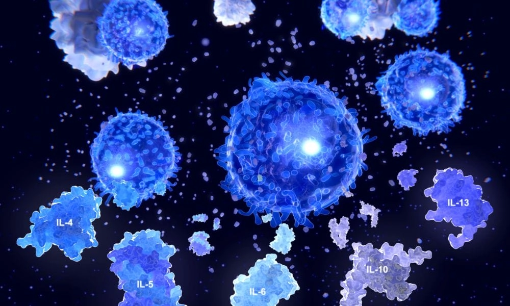 For whom immunotherapy is recommended