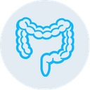 Cáncer de colon y recto