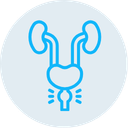Cáncer de prostata