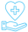 Palliative Care