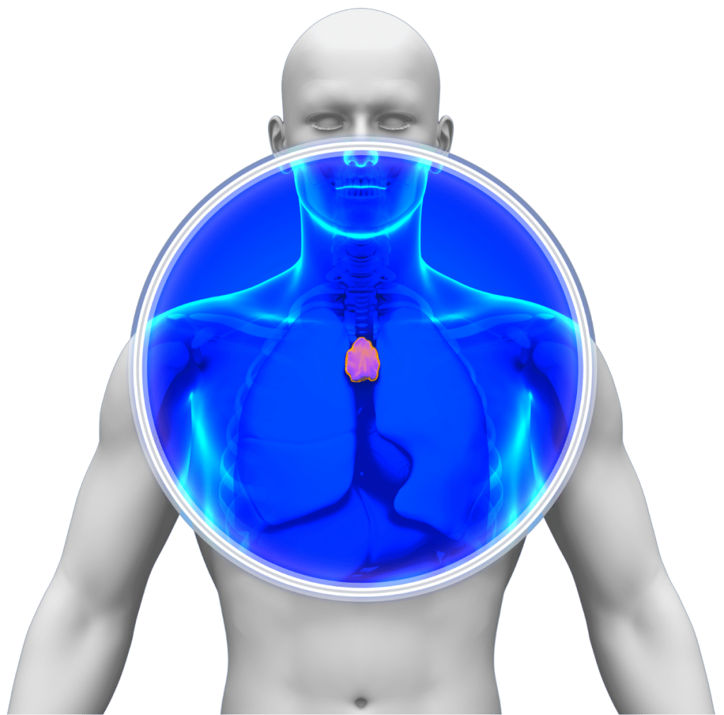 Thymus Cancer : Panama Cancer Clinic : Schedule An Appointment