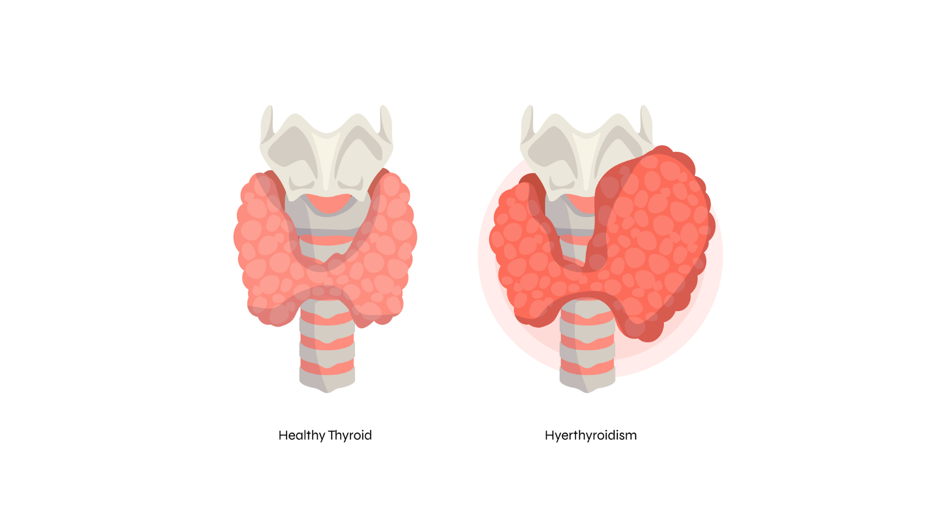 Evaluación médica y resultados